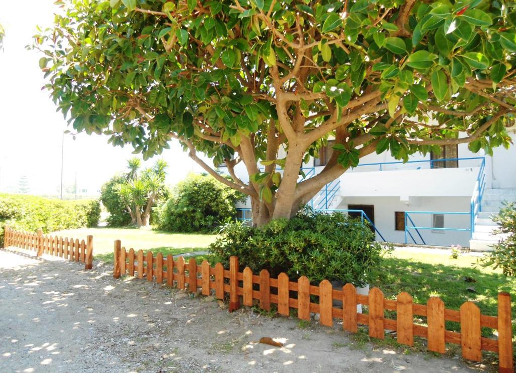 Evi Apartments And Studios Theologos  Ruang foto